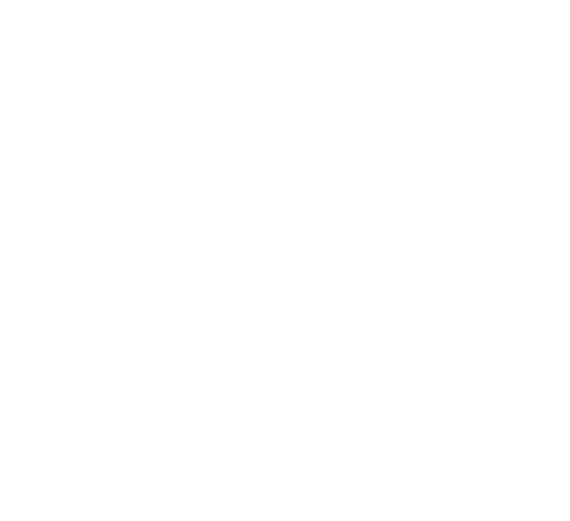 Décoration toile d'araignée
